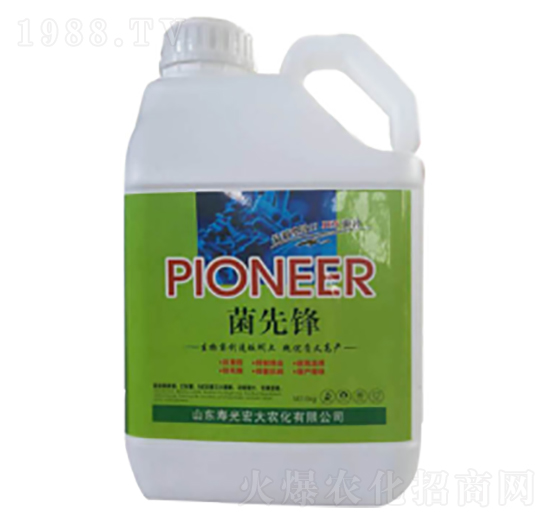 �����h-�ն���