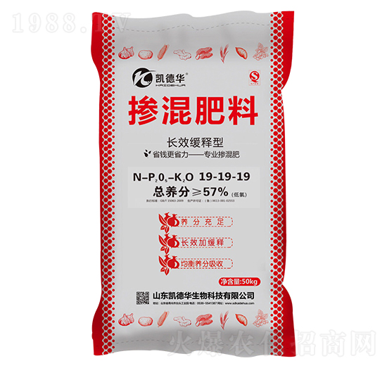 �LЧ����͓������19-19-19-�P���A