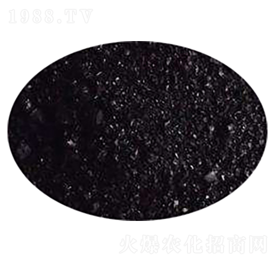 �}�V���\��-�sɭ����