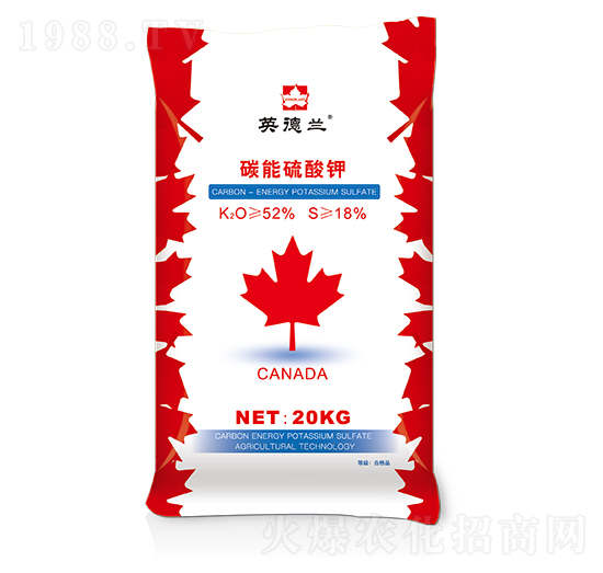 Ӣ���m̼�������-�����r(n��ng)�I(y��)