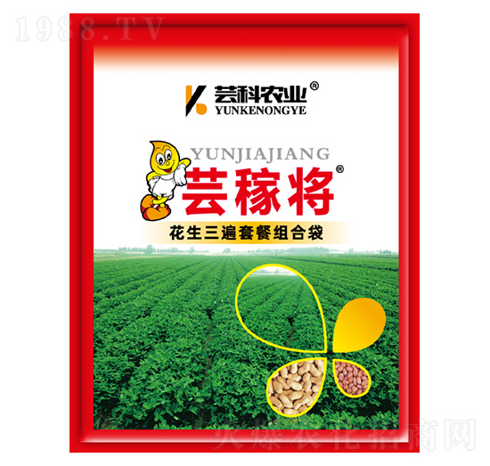 ���������ײͽM�ϴ�-�|�ڌ�-�|���r(n��ng)�I(y��)