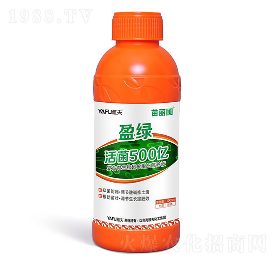 ӯ�G���500�|-������-�ŷ򻯹�