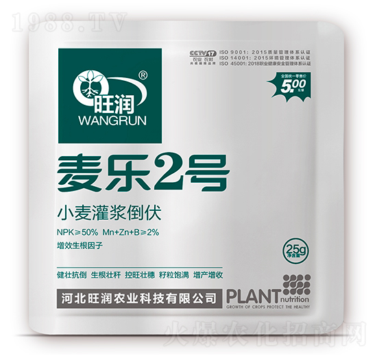 С�����{����-����2̖-�����r(n��ng)�I(y��)