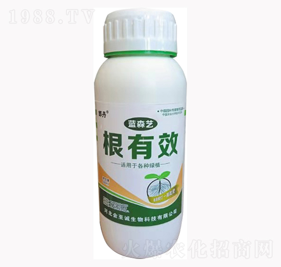 ����Ч-�{(l��n)ɭˇ-�����\