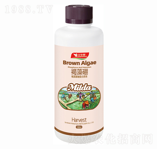 褐藻寡糖復(fù)合原液-褐藻硼-豐華肥業(yè)
