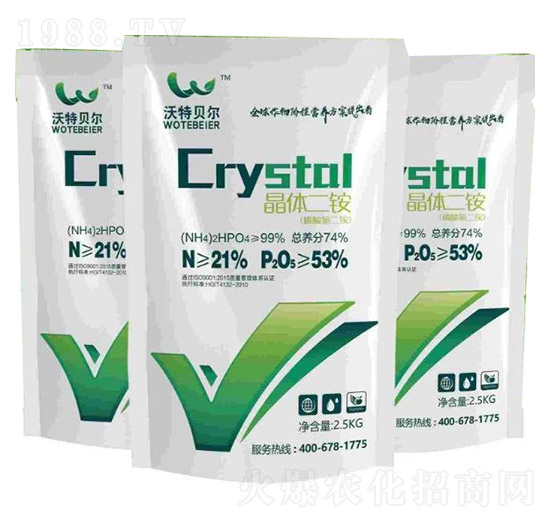 ���w���@-����ؐ��-���r(n��ng)�|��