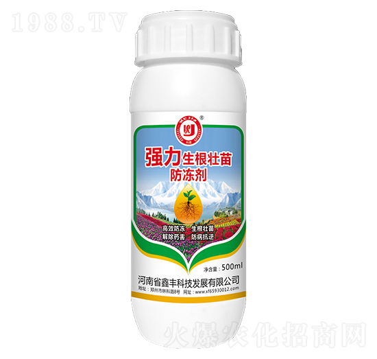 �����������������-���S�Ƽ�