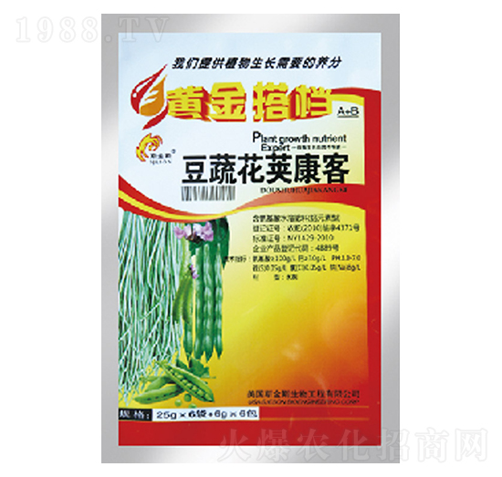 ���߻��v����-�S���n-�и�����