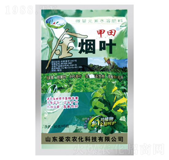 ���~-����-�и�����