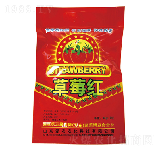 ��ݮ�t-�и�����