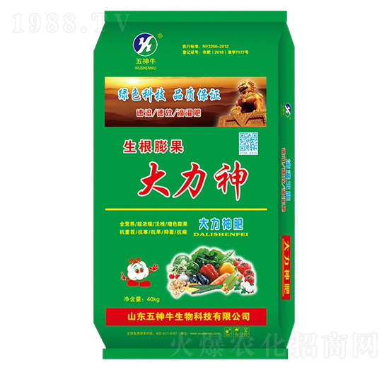 ���������-������-����ţ