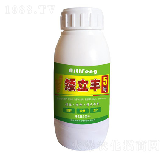 �����S5̖(h��o)-��ֲ�S