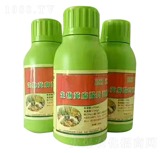 �����S�����~���-���̷ʘI(y��)