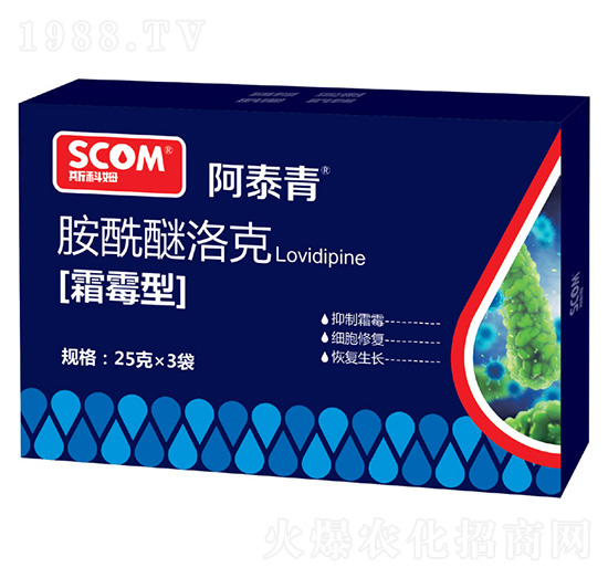 ˪ù�Ͱ��������-��̩��-˹��ķ