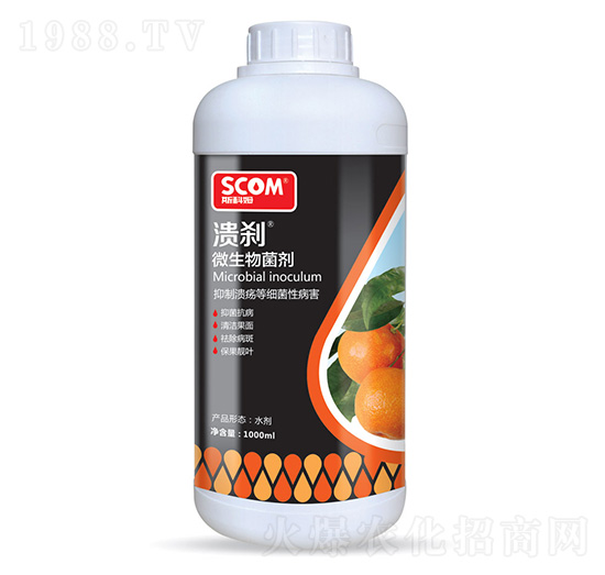 ΢�������-���x-˹��ķ