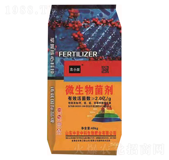 ΢�������-�rС��-���r�п�