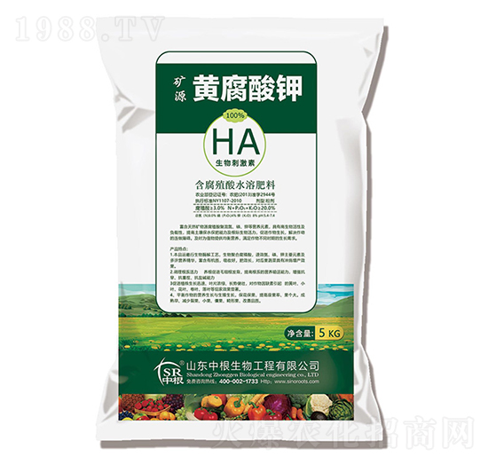 �VԴ�S�����-�и�����