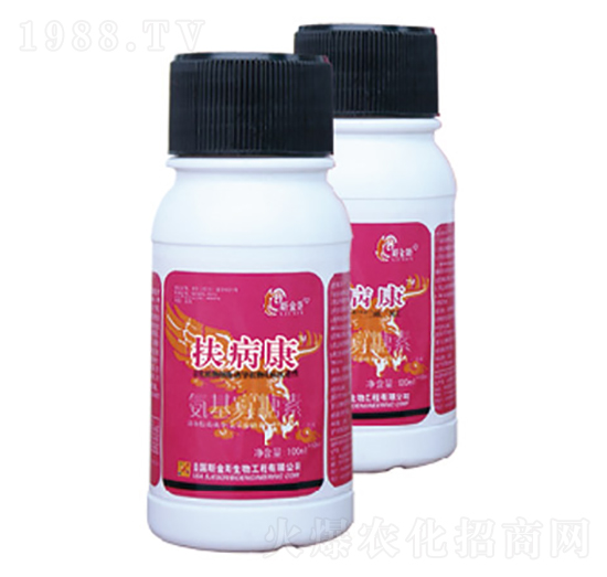 ������-�и�����