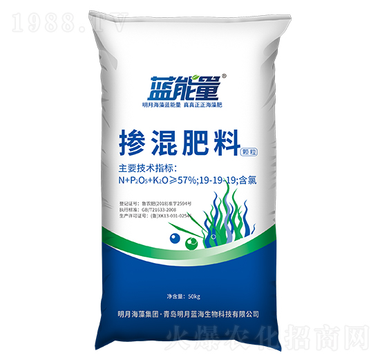 �w���������19-19-19-�{����