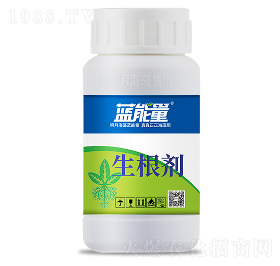 ������-�{(l��n)����