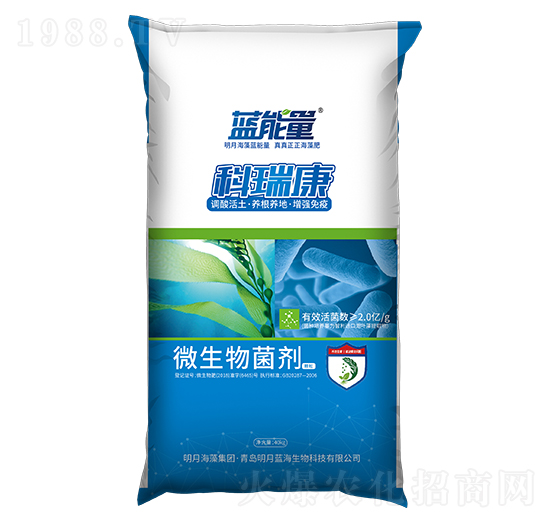 ΢�������-����-�{(l��n)����