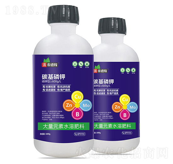 ̼�����-����¡