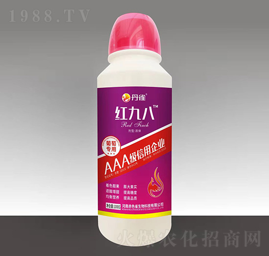 ���ь����~���-�t�Ű�-��ȸ