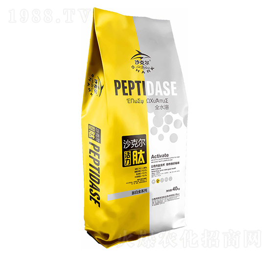 �İ׽�ϵ��ɳ�ˠ�������-�Wِ˹