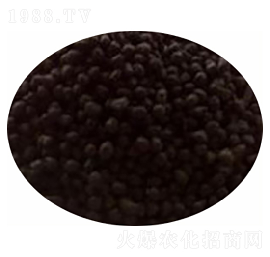 ����(sh��)��(zhu��n)�÷�-���r(n��ng)�ʘI(y��)