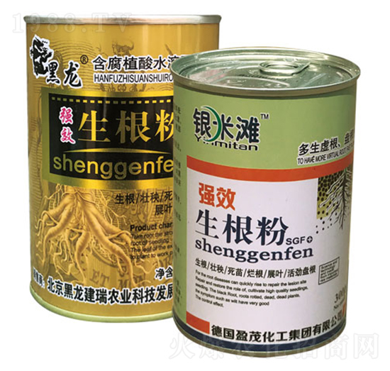 ������-�y�מ�����