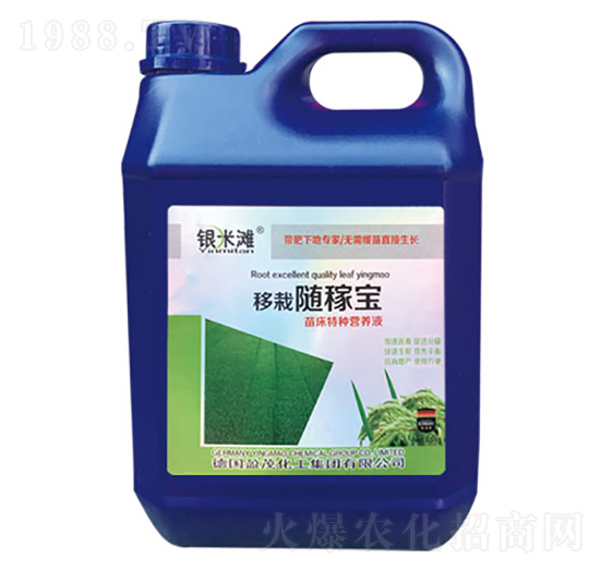 �����S�ތ�-�y�מ�����