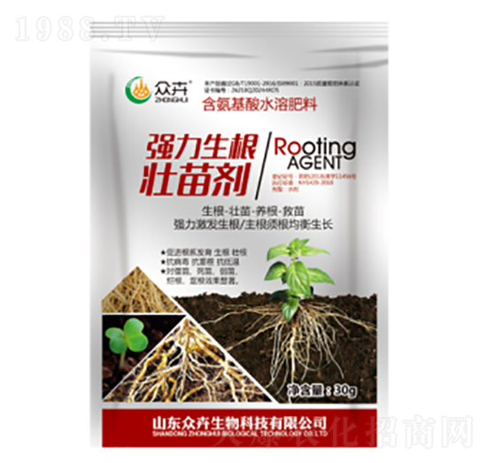 �����������焩-��������