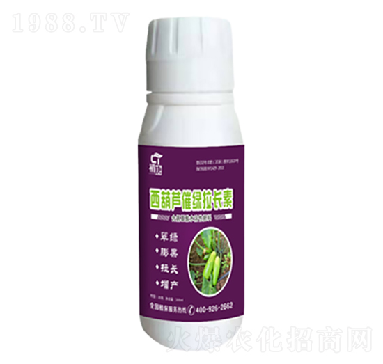 �����J�߾G���L(zh��ng)��-����-�֮��