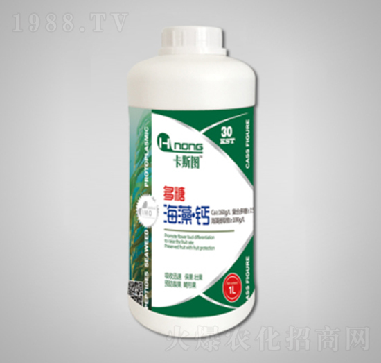 1L���Ǻ��塤�}-���r�r�I(y��)