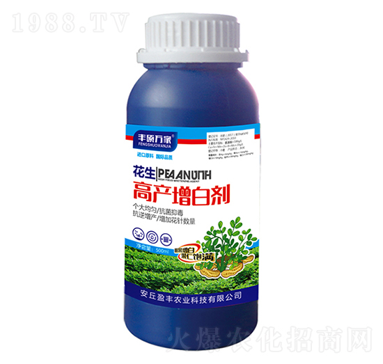 �����߮a���ׄ�-�S�T�f��-ӯ�S�r�I(y��)