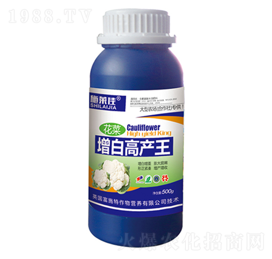 �������׸߮a(ch��n)��-ʩ�R��-ӯ�S�r(n��ng)�I(y��)