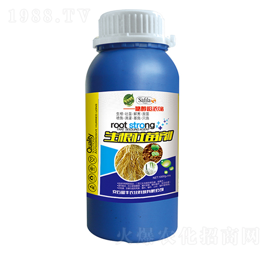 �������焩-ӯ�S�r(n��ng)�I(y��)