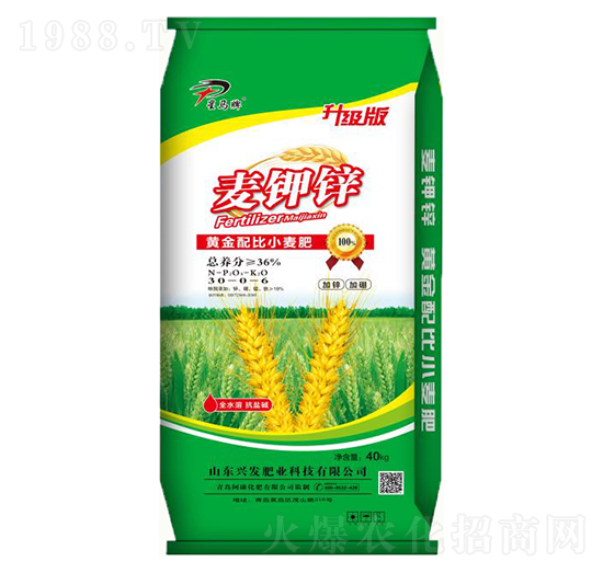 �S�����С����30-0-6-�����\-�d�l(f��)�ʘI(y��)