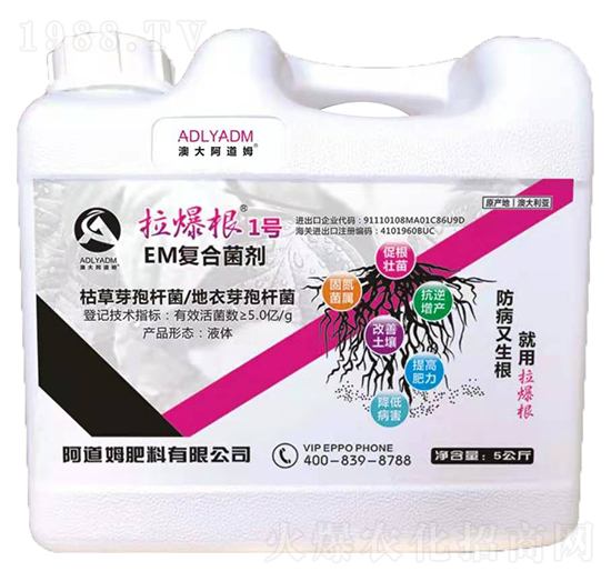 EM�ͺϾ���-������1̖-����ķ