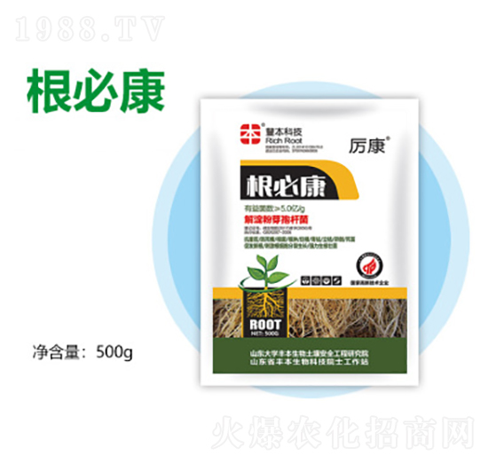 ���ؿ�-�S������