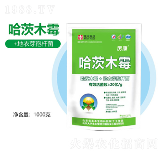 ����ľù-�S������