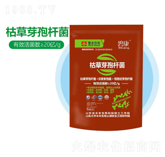 �ݲ�ѿ�ߗU��-�S������