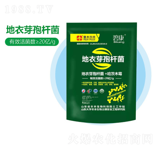 ����ѿ�ߗU��-�S������