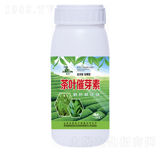 ���~��ѿ��-�欔-�ʰl(f��)����