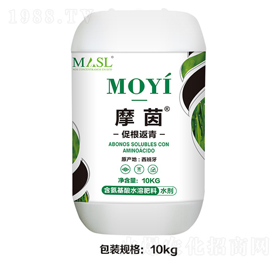 �ٸ�����-Ħ��-������