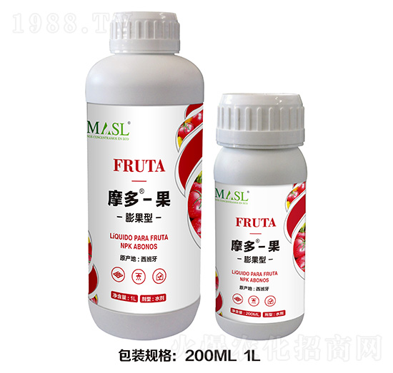 �����Ħ�ࡤ��-������