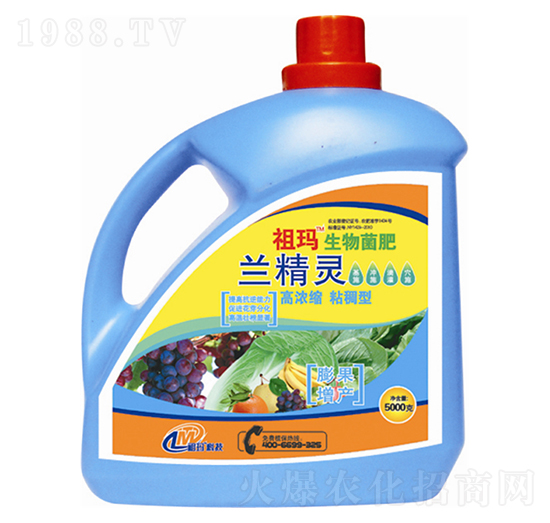 �m���`�������-�欔-�ʰl(f��)����