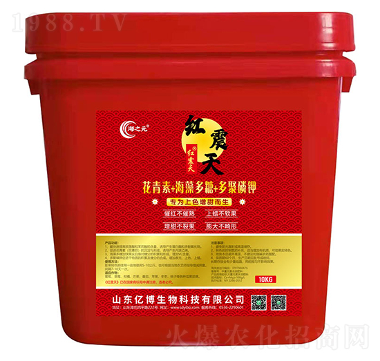 10kg������+�������+������-�|������