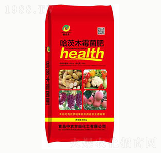 ����ľø����-(li��n)�_�S-���r(n��ng)����