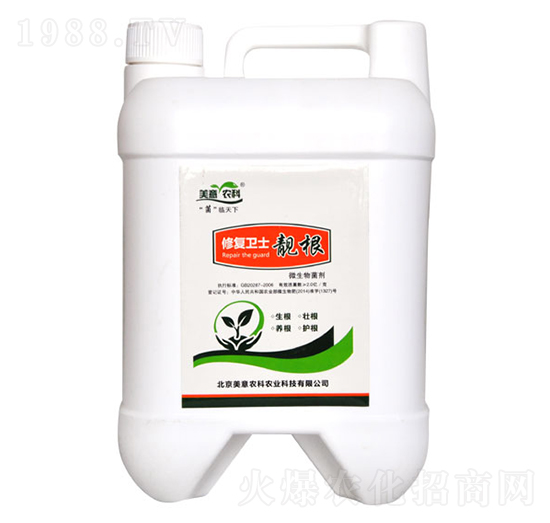 �ޏ��l(w��i)ʿ�n��-�����r(n��ng)��